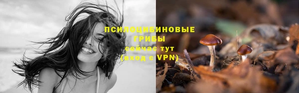 альфа пвп Покачи