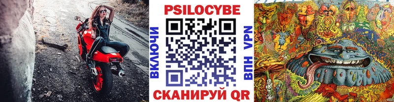 Галлюциногенные грибы Psilocybine cubensis  Алексеевка 