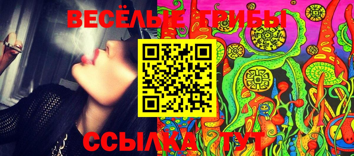 Псилоцибиновые грибы Psilocybe  Вход с VPN  Алексеевка 