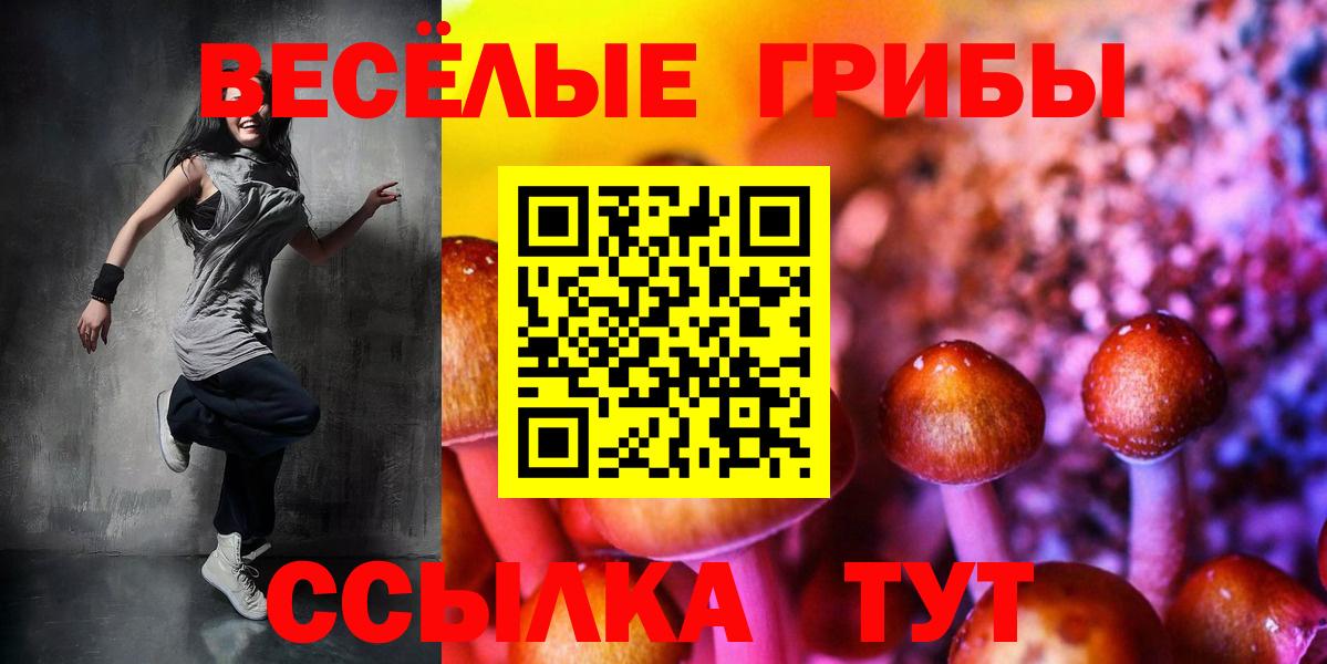 Псилоцибиновые грибы Psilocybine cubensis Алексеевка