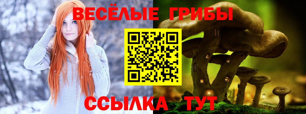 Алексеевка  Псилоцибиновые грибы Psilocybine cubensis  цены   Вход с VPN 
